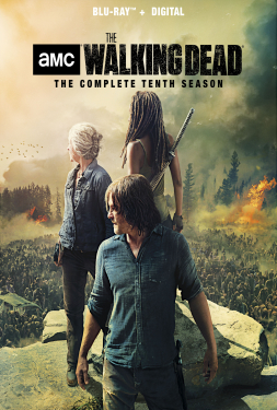 The Walking Dead Season 10 ล่าสยองทัพผีดิบ ภาค10 (2019)